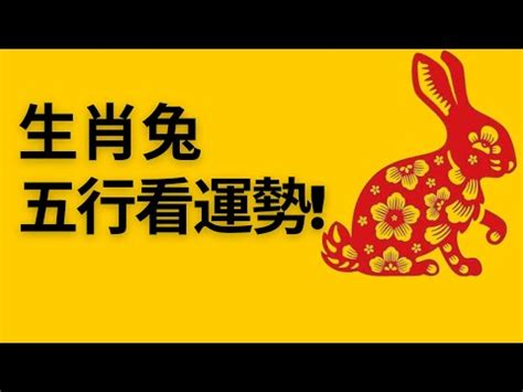 兔屬性|【兔屬五行】兔屬五行！不同年份生肖兔五行屬性大公。